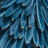 Die neueste Vxin WXPA-01 Blumenfarbe für Wohnkultur, Wandkunst, Metallfeder, hängendes Bild für Wohnzimmer, zum Verkauf