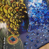 Vxin WXMA-56 Kristall-Porzellan-Gemälde, Kunstharz, Pfau, bedeckter Rahmen, dekorativer Spiegel, Wandkunst
