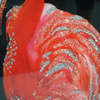 Vxin WXMA-57 Kristall-Porzellan-Gemälde, Harz, Flamingo, bedeckter Rahmen, dekorativer Spiegel, Wandkunst