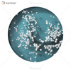 Vxin WXPA-010 Creative Beads Button Paint for Home Decor Wall Art Metall Hängebild für Wohnzimmer Set zum Verkauf