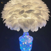 Factory Supply Wunderschöne Federglas-Tischlampe mit LED für Schlafzimmer