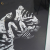 VXin WXMA-22 Wohnkultur Glasrahmen verspiegelt Tiger Wandkunst Kristall Porzellanmalerei Spiegel Wandkunst